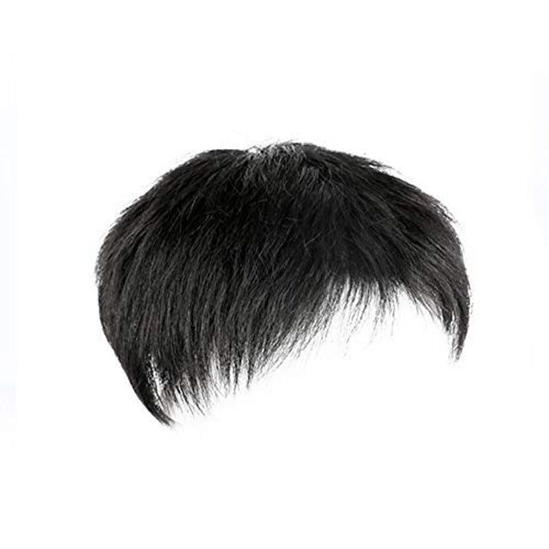 Middle-aged And Elderly Xie Ding Hairpiece Men's Natural Wig - Beuti-Ful