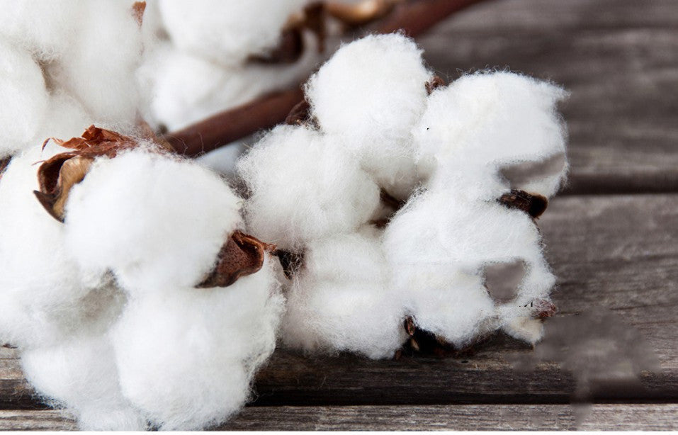 Linyue Strapless Long-Sleeved Hooded Sweater For Men And Women - Beuti-Ful