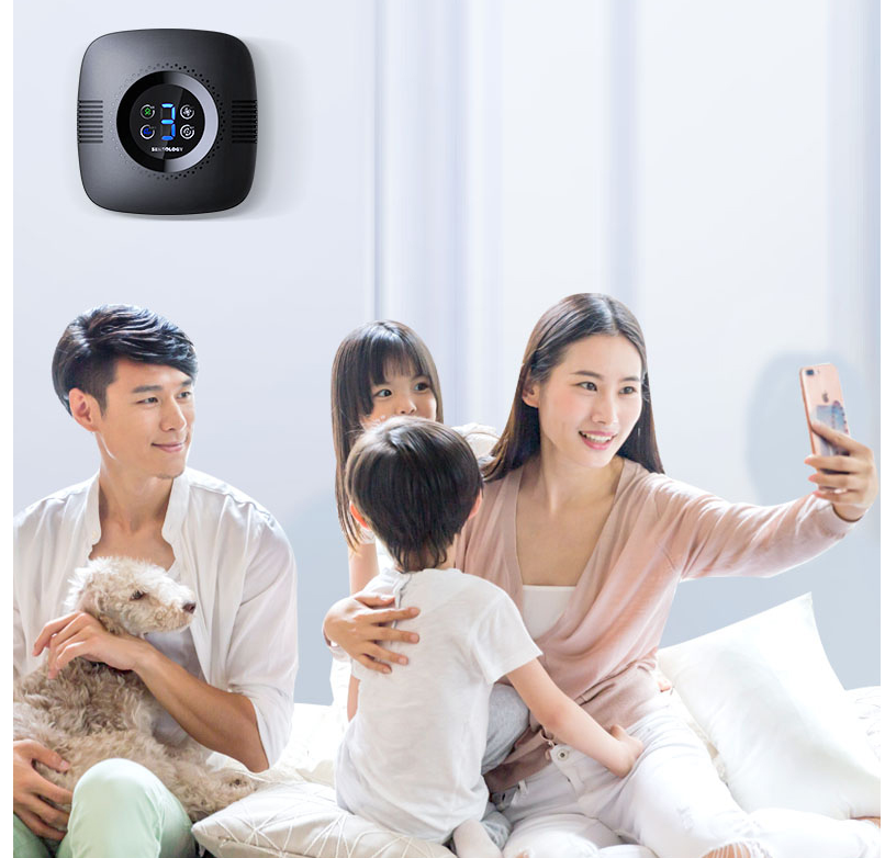 Household Negative Ion Air Purifier Air Disinfector - Beuti-Ful