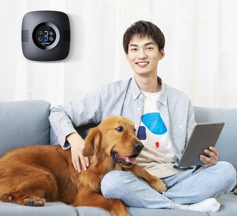 Household Negative Ion Air Purifier Air Disinfector - Beuti-Ful