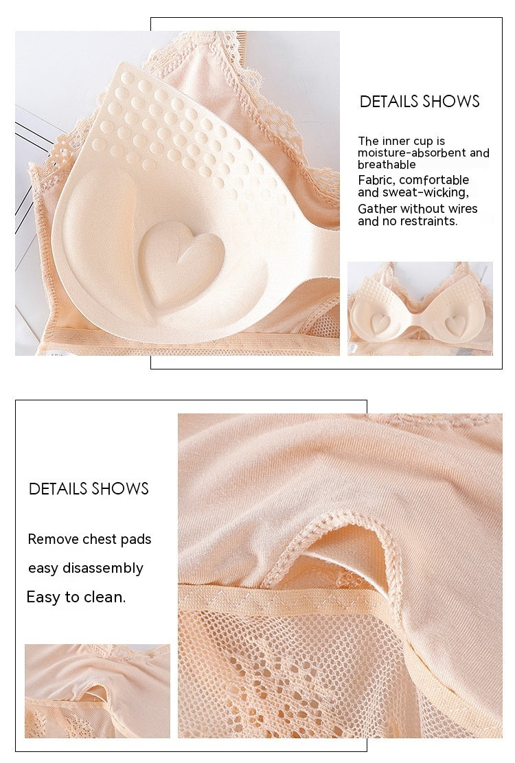 Women's Bra Suit Tube Top  Lace Underwear