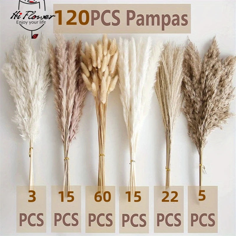 120pcs Dried Flowers Pampas Bunny Rabbit Tails Grass Bouquet Home Vase Decoration Artifical Flower Natural Pampa Wedding Decor - Beuti-Ful